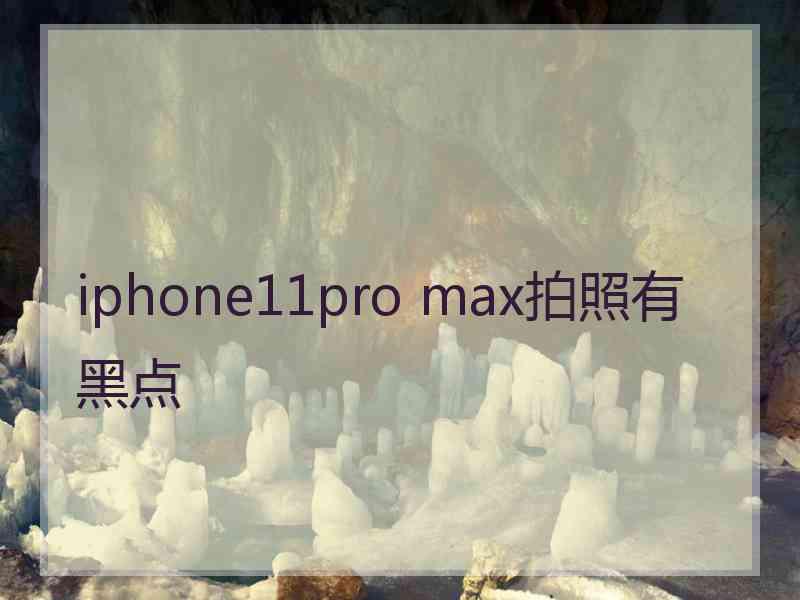 iphone11pro max拍照有黑点