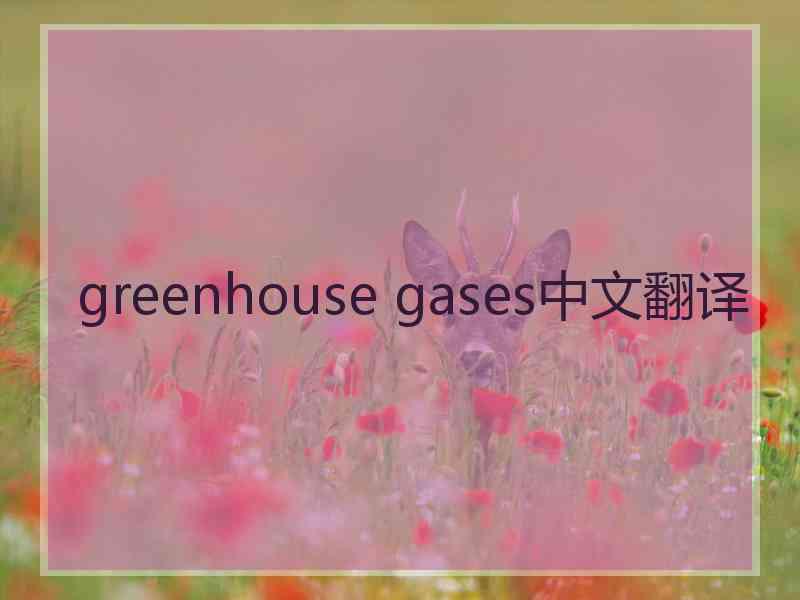 greenhouse gases中文翻译