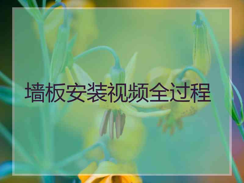 墙板安装视频全过程