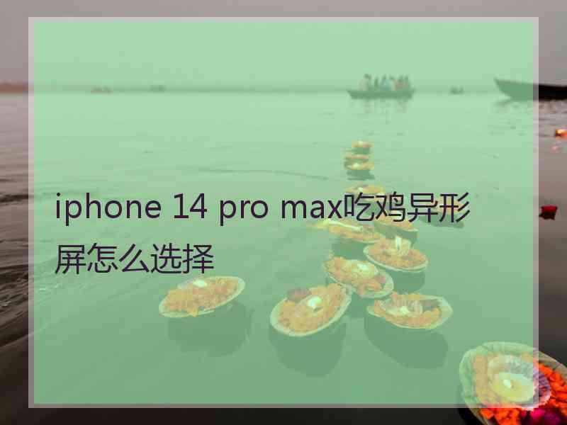 iphone 14 pro max吃鸡异形屏怎么选择