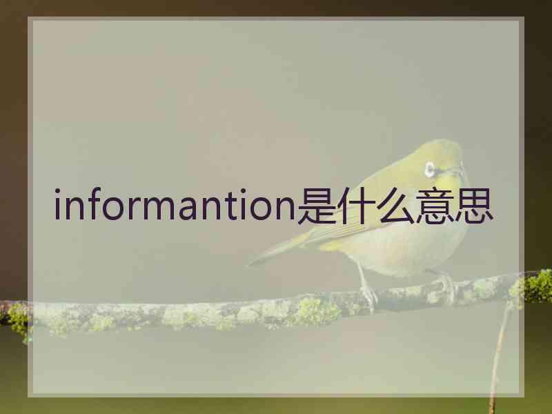 informantion是什么意思