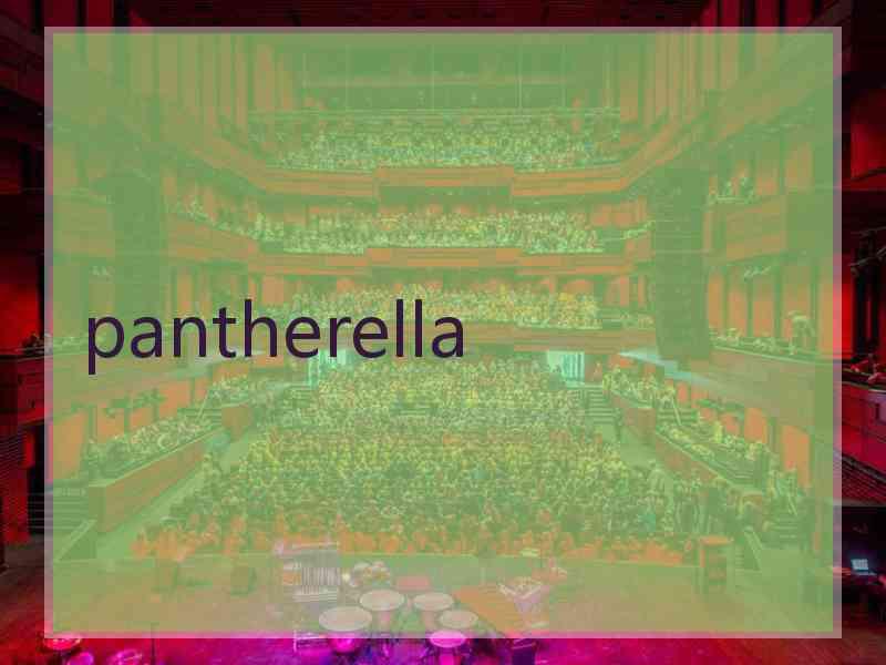 pantherella