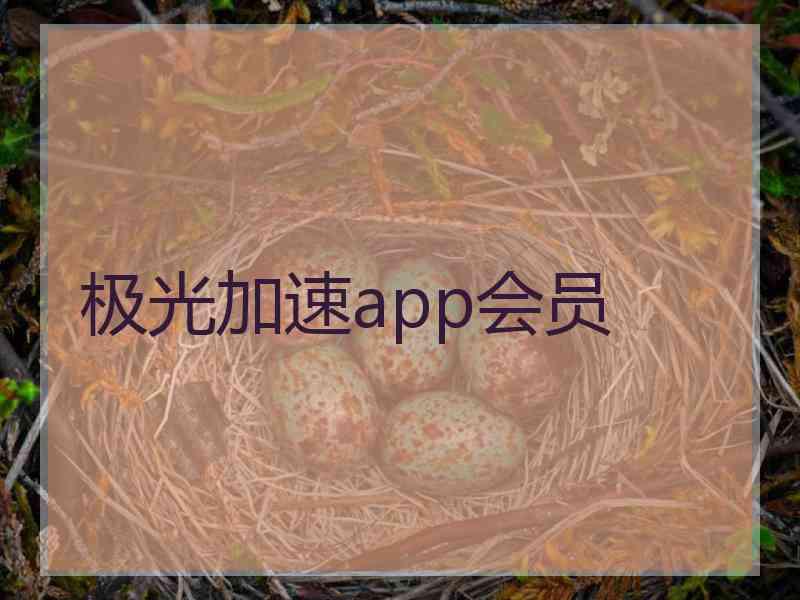 极光加速app会员