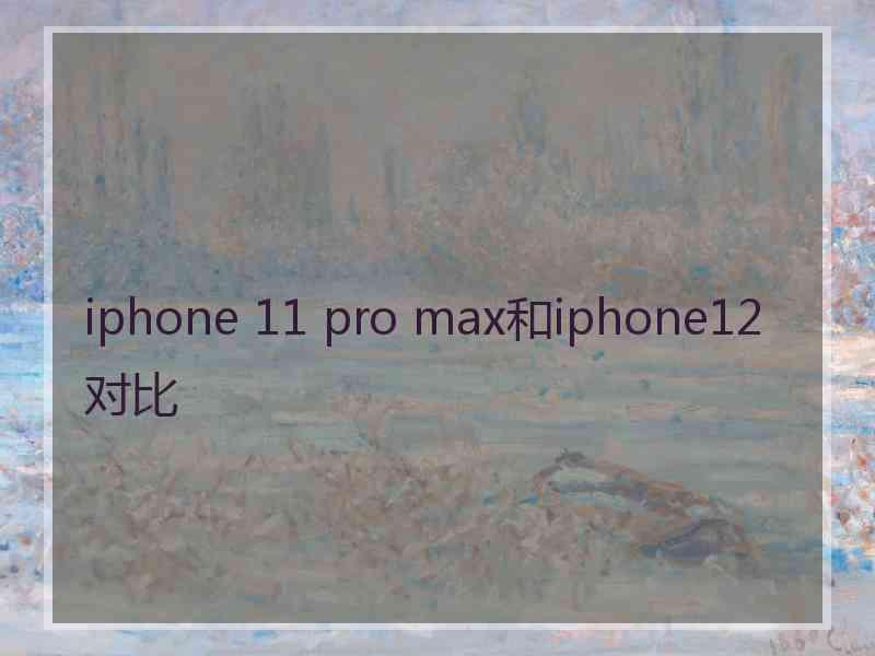 iphone 11 pro max和iphone12对比