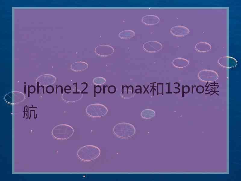 iphone12 pro max和13pro续航