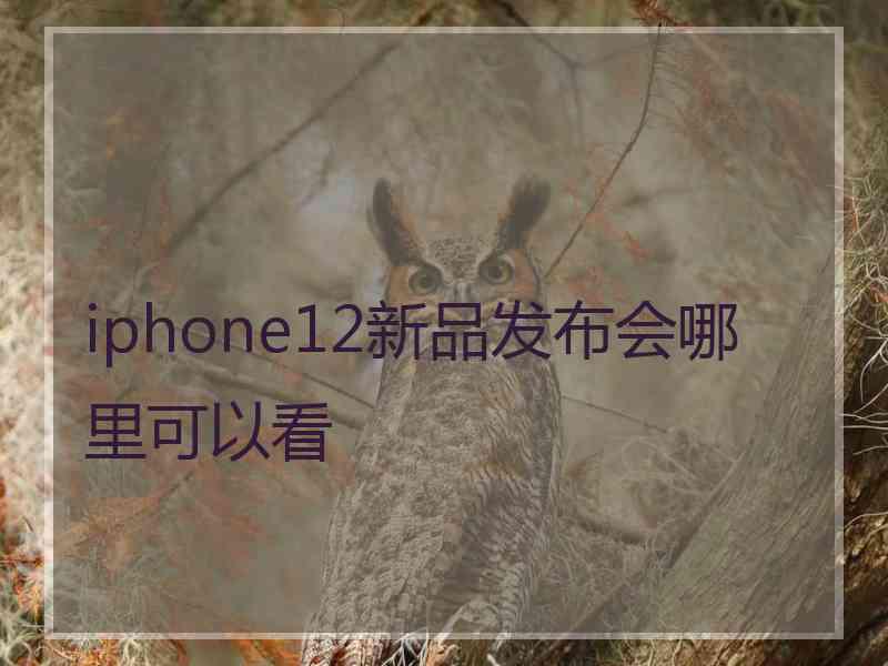 iphone12新品发布会哪里可以看