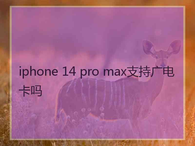 iphone 14 pro max支持广电卡吗