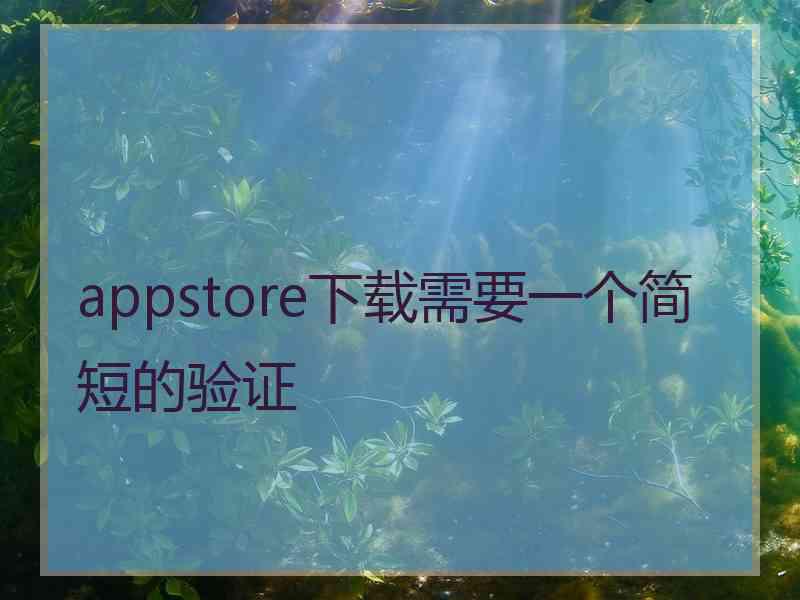 appstore下载需要一个简短的验证