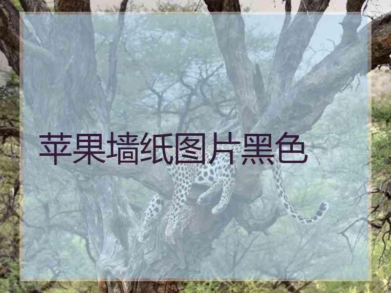 苹果墙纸图片黑色