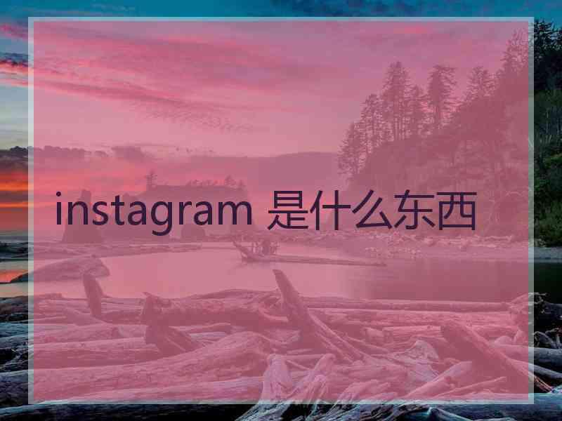 instagram 是什么东西