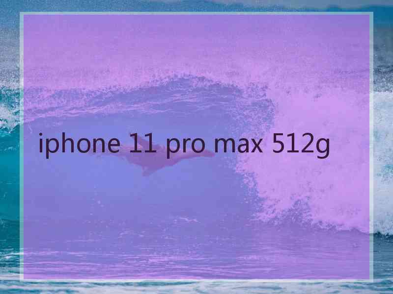 iphone 11 pro max 512g