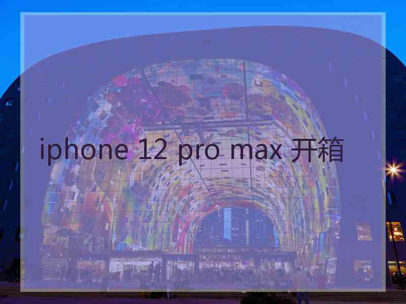 iphone 12 pro max 开箱