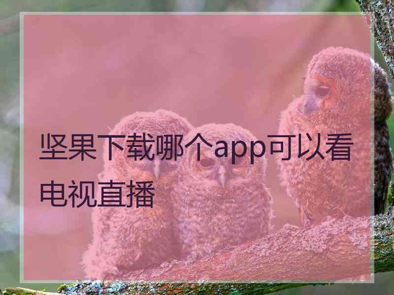 坚果下载哪个app可以看电视直播