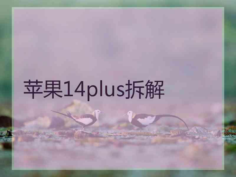 苹果14plus拆解