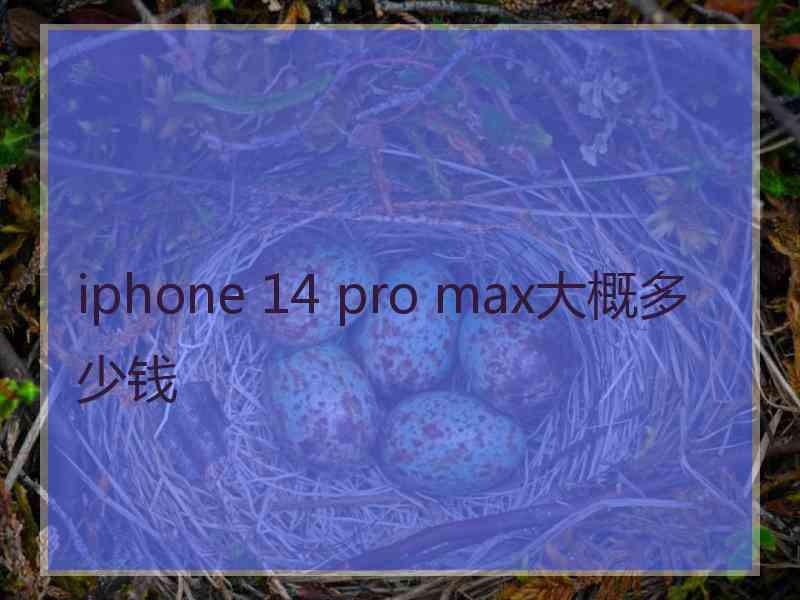 iphone 14 pro max大概多少钱