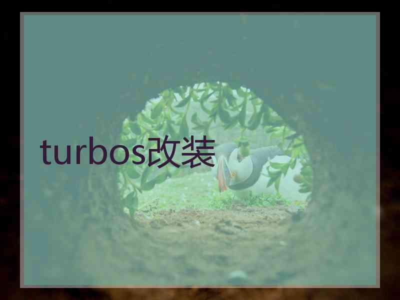 turbos改装