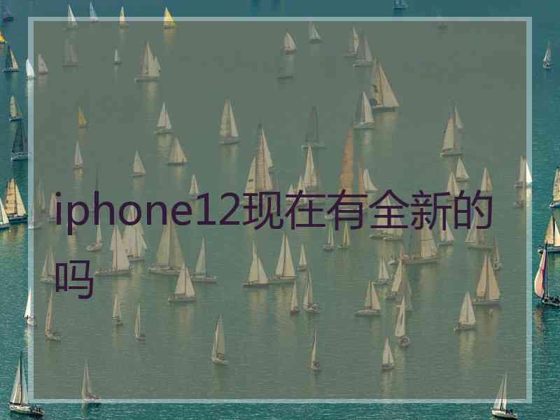 iphone12现在有全新的吗