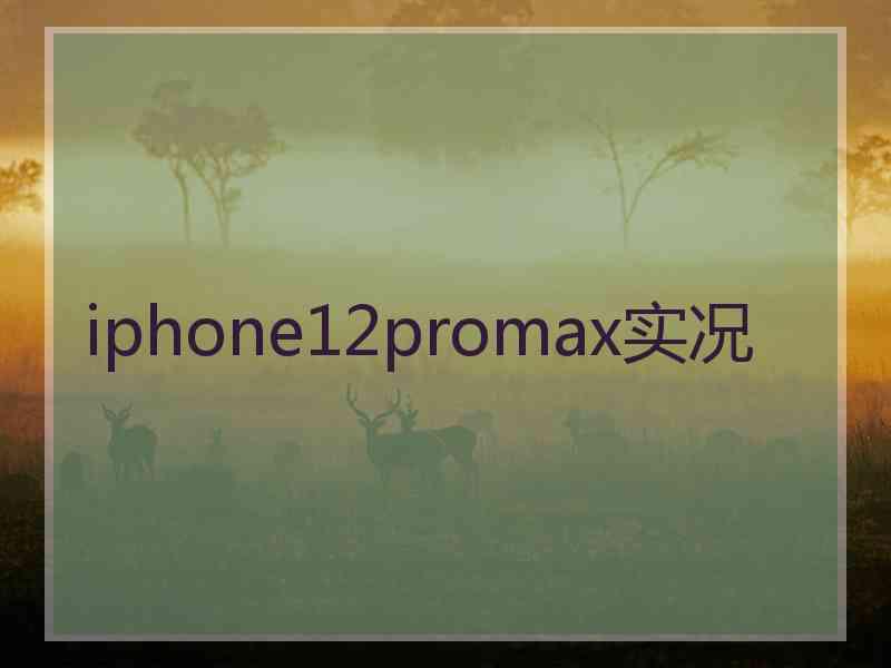 iphone12promax实况