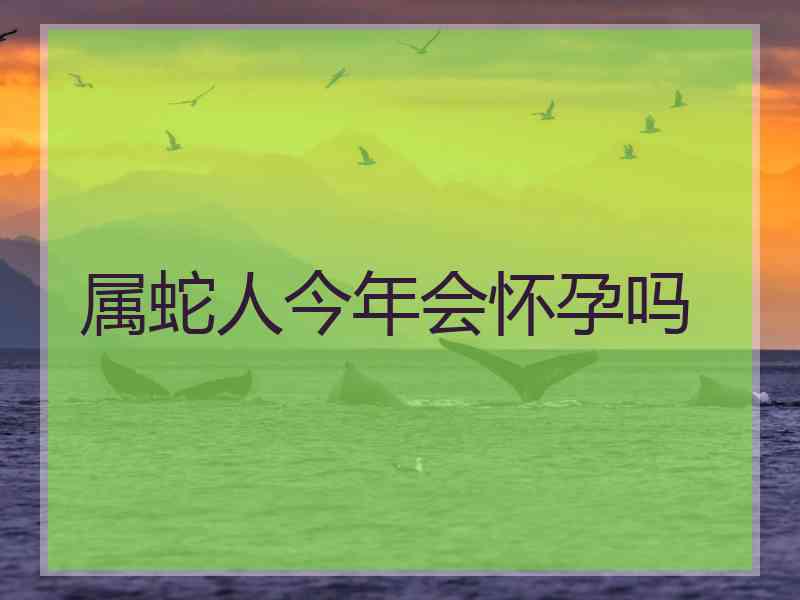 属蛇人今年会怀孕吗