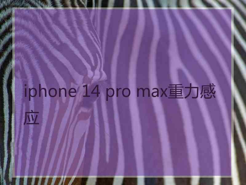 iphone 14 pro max重力感应