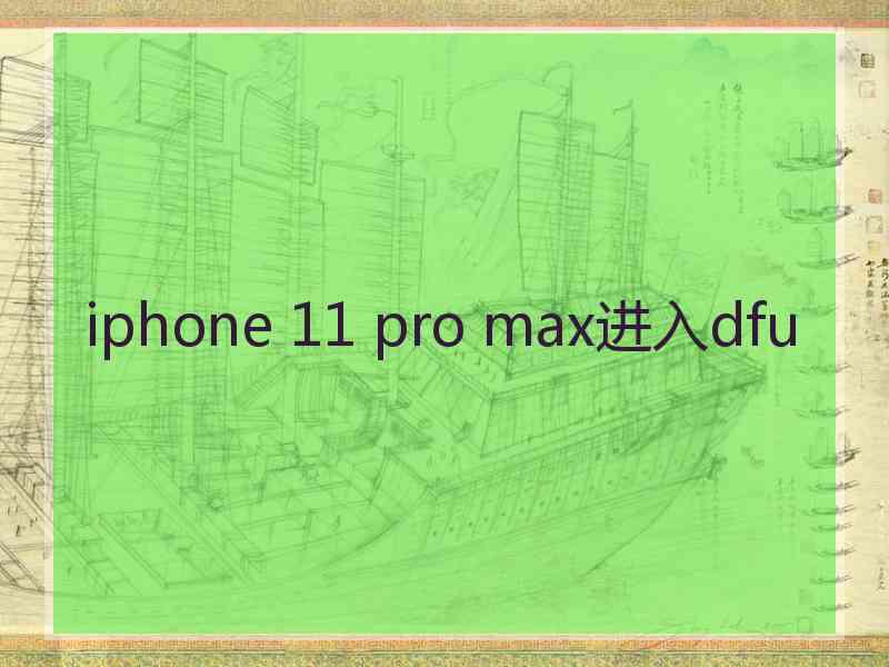 iphone 11 pro max进入dfu