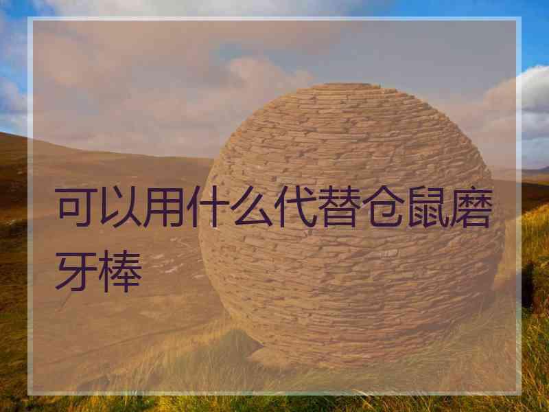 可以用什么代替仓鼠磨牙棒