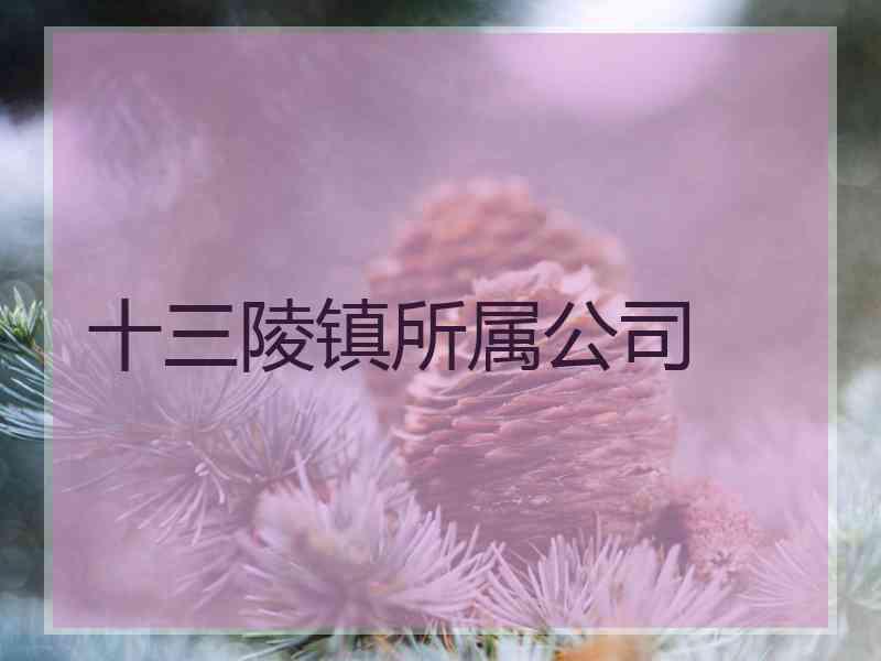 十三陵镇所属公司