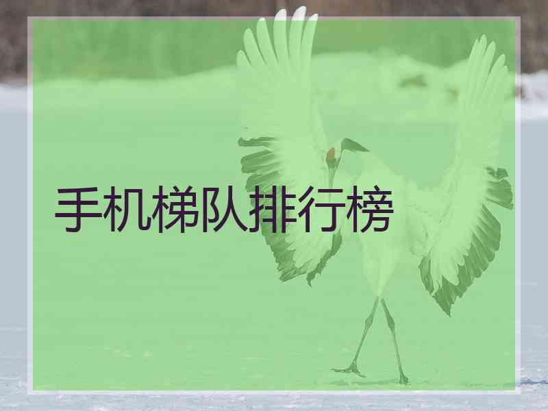 手机梯队排行榜