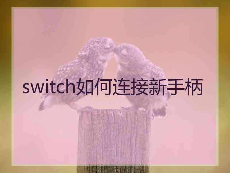 switch如何连接新手柄