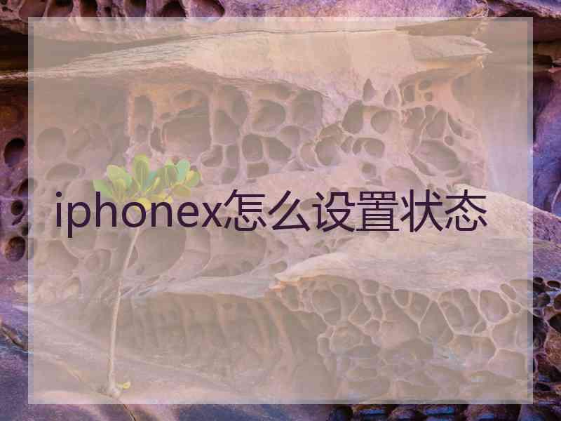 iphonex怎么设置状态