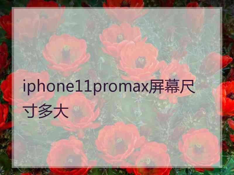 iphone11promax屏幕尺寸多大