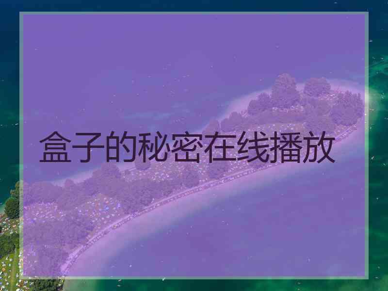 盒子的秘密在线播放