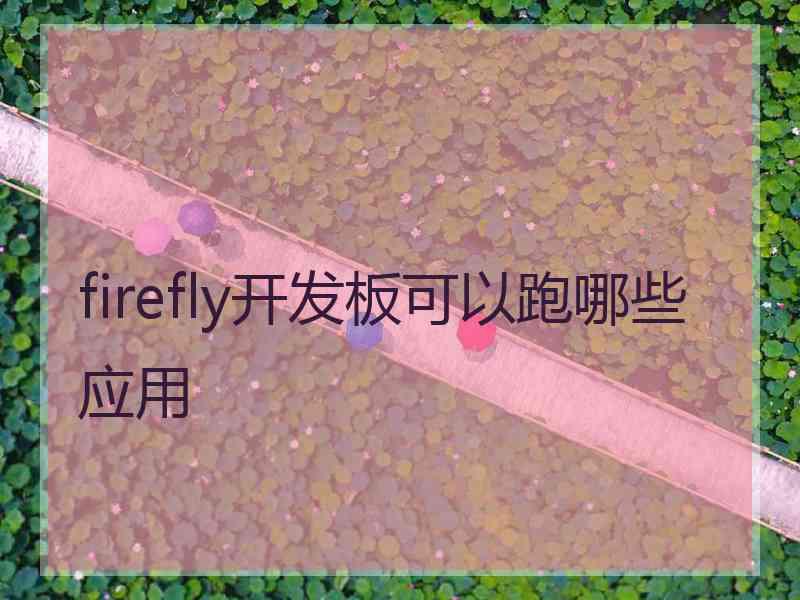 firefly开发板可以跑哪些应用