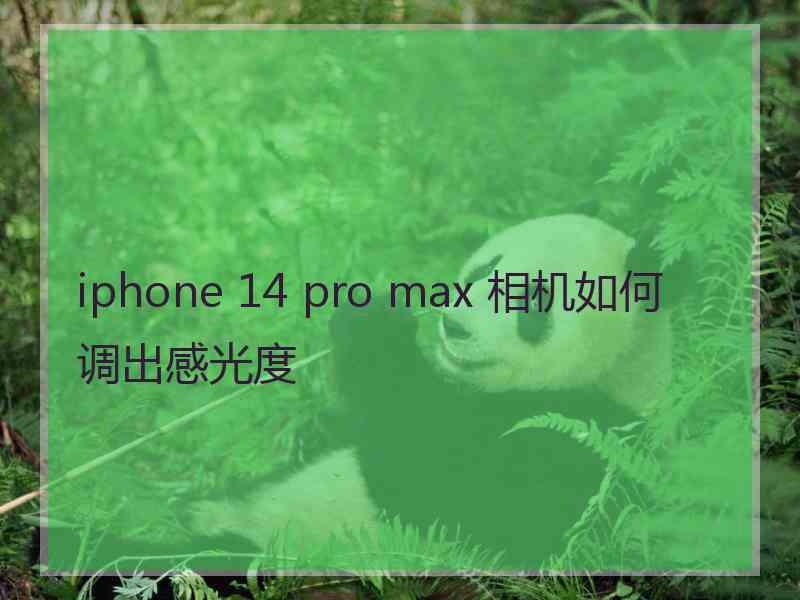 iphone 14 pro max 相机如何调出感光度