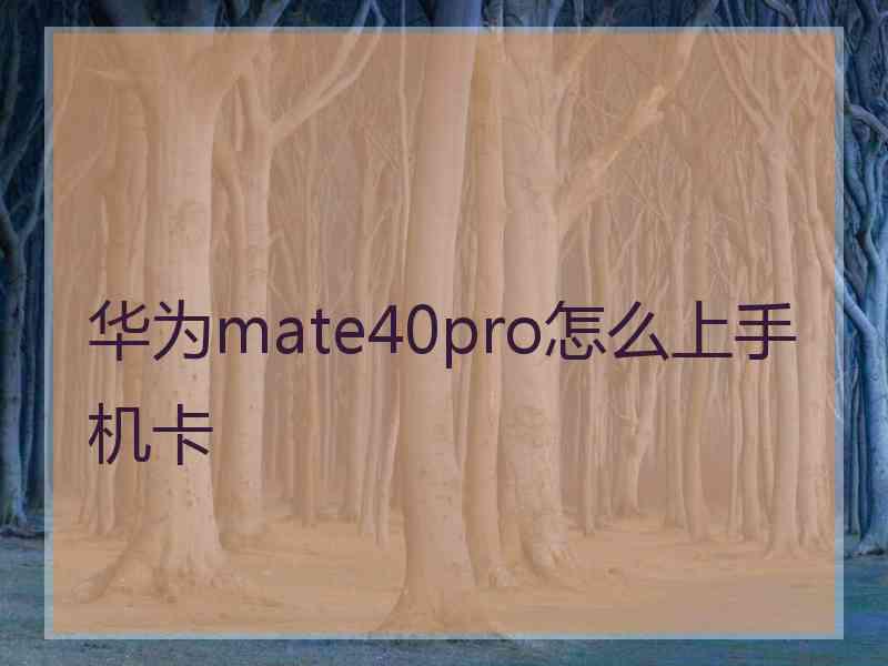 华为mate40pro怎么上手机卡