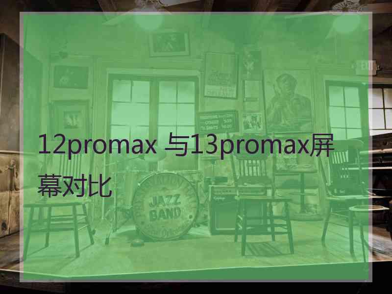 12promax 与13promax屏幕对比