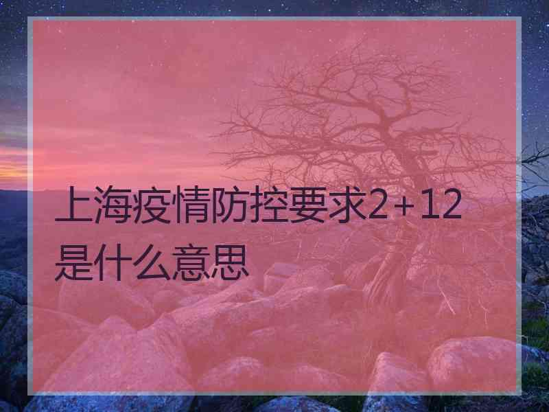 上海疫情防控要求2+12是什么意思