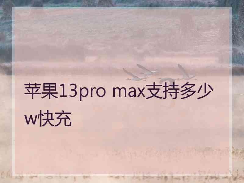 苹果13pro max支持多少w快充