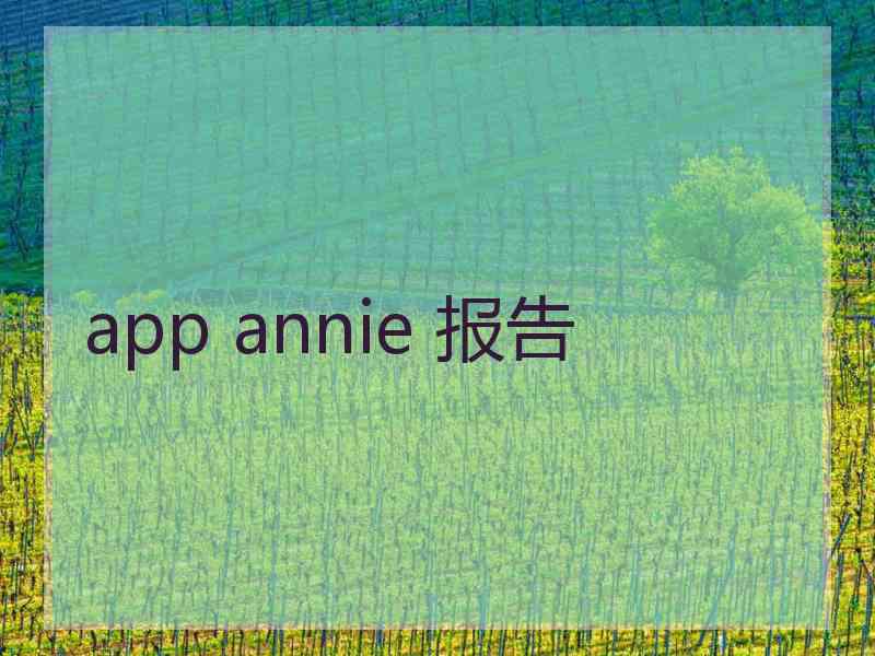 app annie 报告