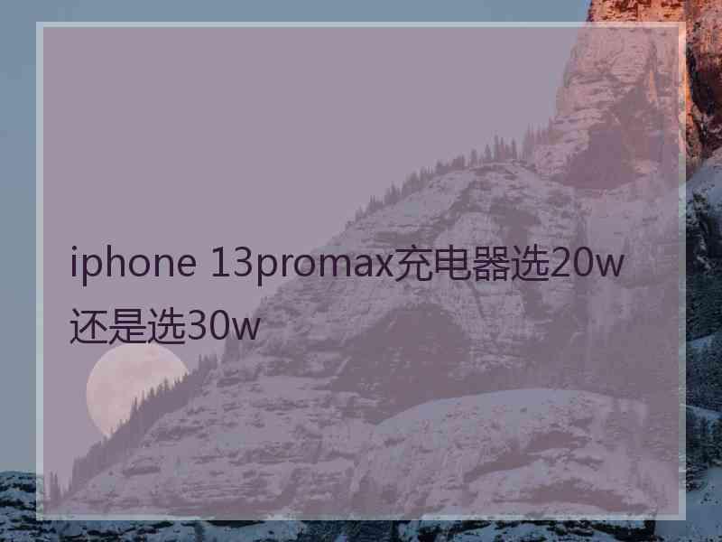 iphone 13promax充电器选20w还是选30w