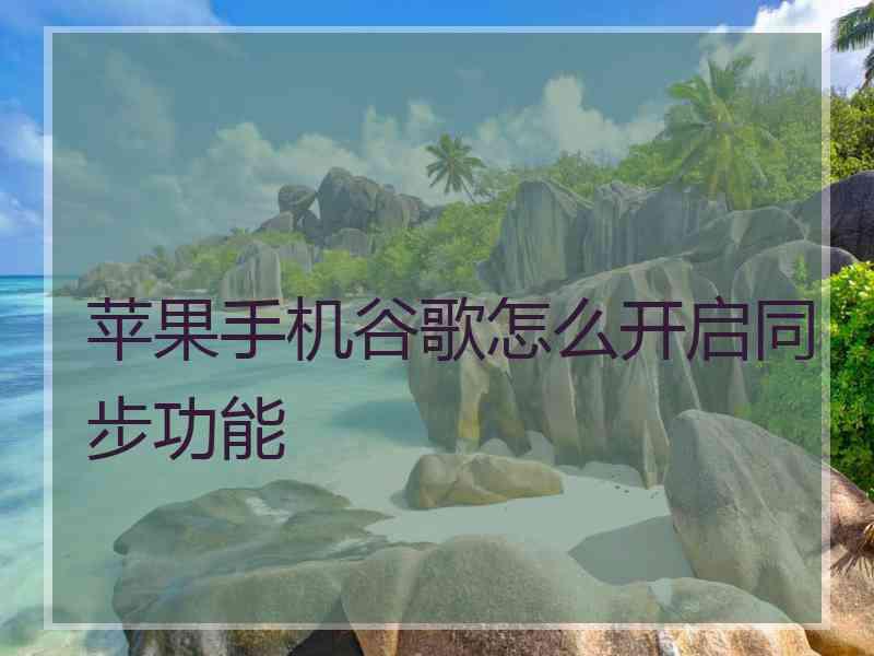 苹果手机谷歌怎么开启同步功能