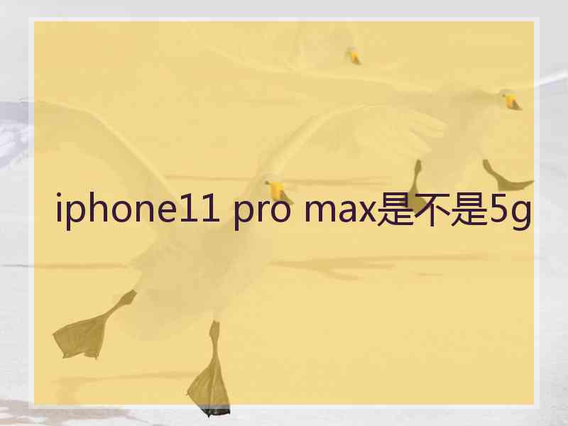 iphone11 pro max是不是5g