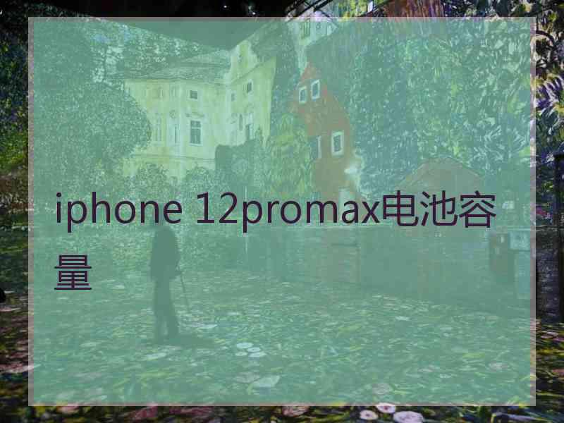 iphone 12promax电池容量