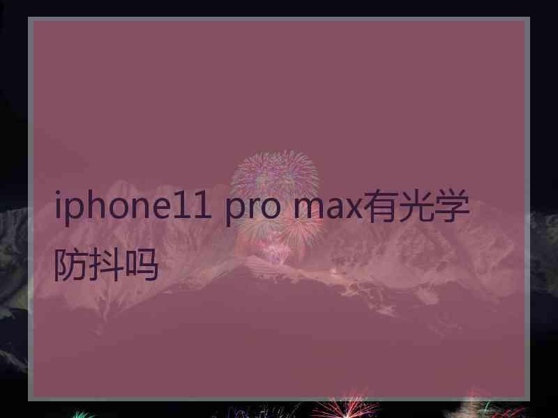 iphone11 pro max有光学防抖吗