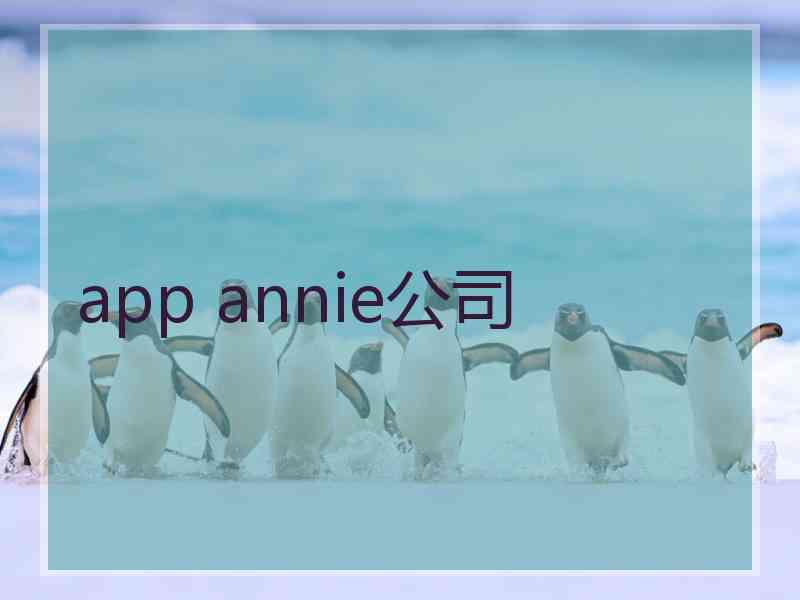 app annie公司