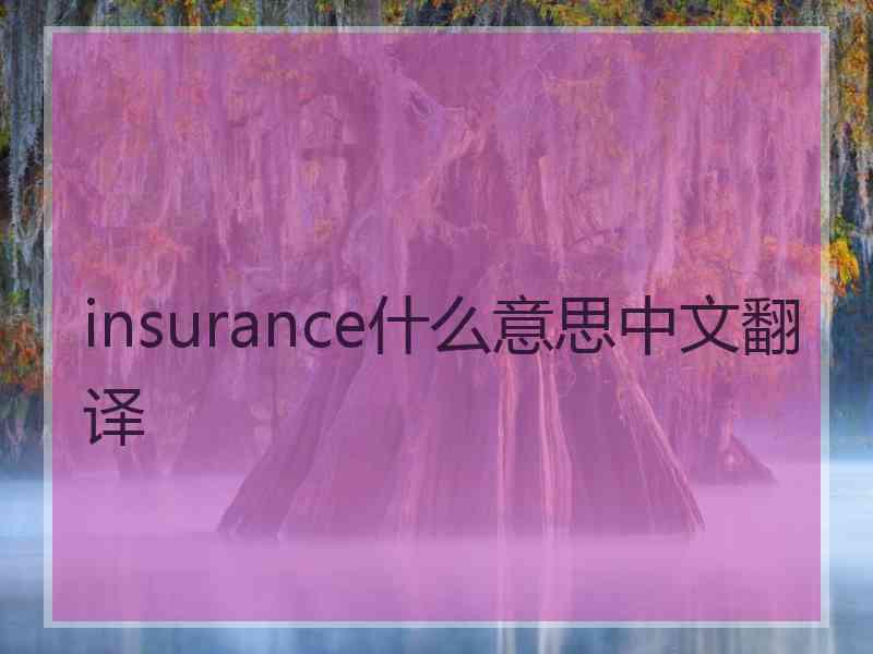 insurance什么意思中文翻译