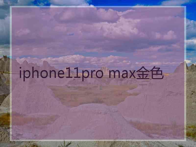 iphone11pro max金色