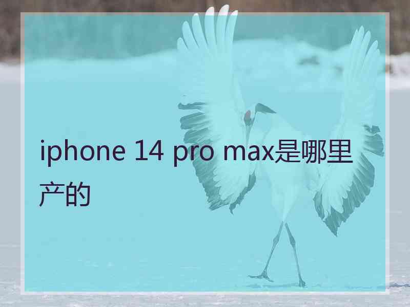 iphone 14 pro max是哪里产的