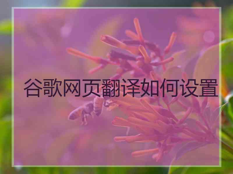 谷歌网页翻译如何设置