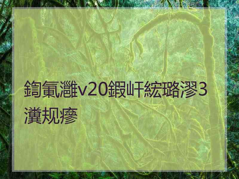 鍧氭灉v20鍜屽綋璐漻3瀵规瘮